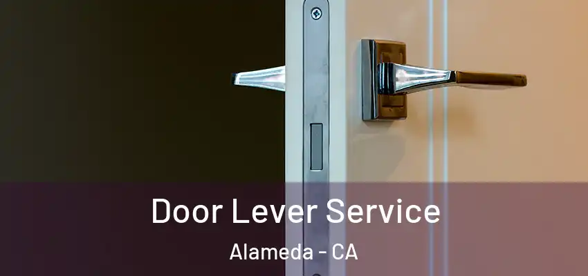  Door Lever Service Alameda - CA