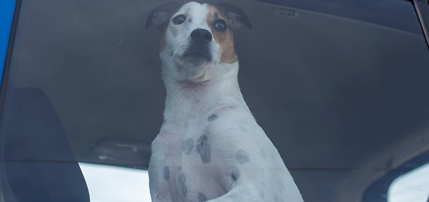 Car Lockout Solutions in Alameda, California